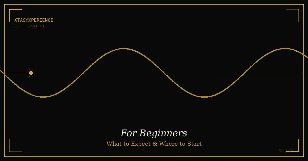 Thrusting Vibrators for Beginners: What to Expect and Where to Start